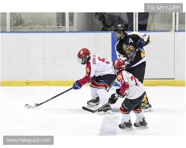 零度空间:冰球运动员体能极限挑战 零度空间:冰球运动员体能极限挑战
