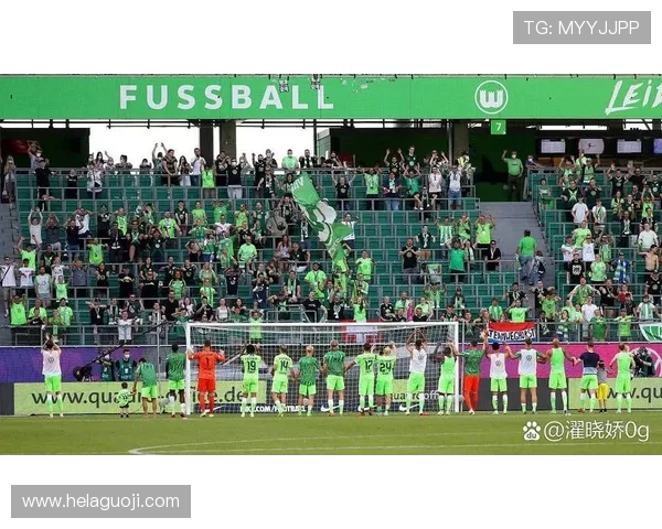 盘点德甲各球队主场及主场氛围营造分析