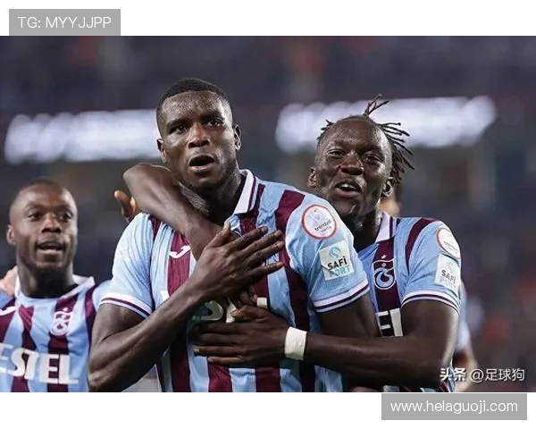 英超历届降级球队的表现与历史教训 英超历届降级球队的表现与历史教训